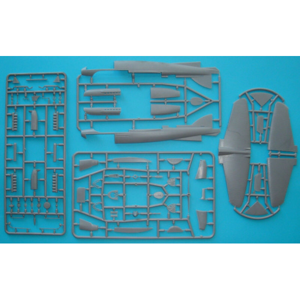  Piaggio-Pegna P.C.7 Schneider Trophy series 1/48 AMP 48011