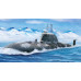 Akula II Class Attack Submarine - K-335 Giepard 1/350 Bronco NB5020