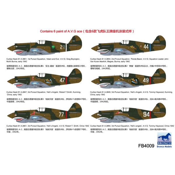 Curtiss Hawk 81-A2 AVG (Special Edition)  1/48 Bronco Models FB4009