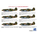 Curtiss Hawk 81-A2 AVG (Special Edition)  1/48 Bronco Models FB4009