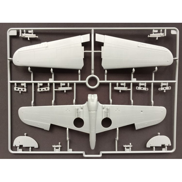 Curtiss Hawk 81-A2 AVG (Special Edition)  1/48 Bronco Models FB4009