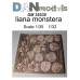 Ліана монстера 1/35 DANmodels 35538