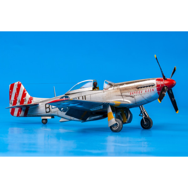 P-51D Mustang 1/48 Eduard 82102