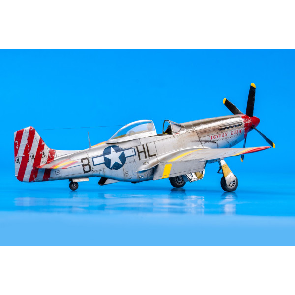 P-51D Mustang 1/48 Eduard 82102
