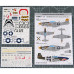 Decals North American P-51 Mustang Nose Art- Teeth and Girl and Stencils #1 1/48 Foxbot 48-060