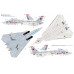 F-14B "Tomcat" US Navy carrier-based interceptor 1/48 Great Wall Hobby GWH L4828