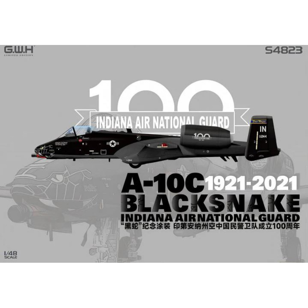 A-10C Blacksnake Indiana Air National Guard 1/48 Great Wall Hobby GWH S4823