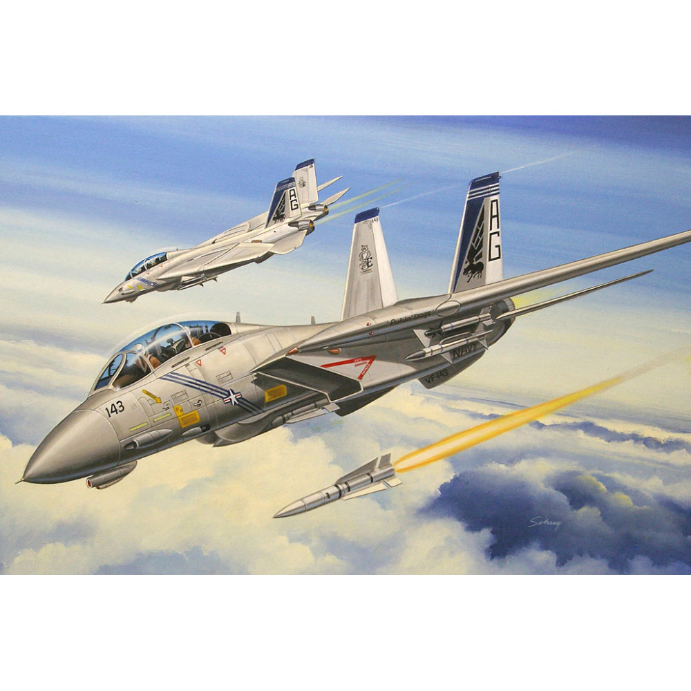 F-14B "Tomcat"  1/72 HobbyBoss 80277