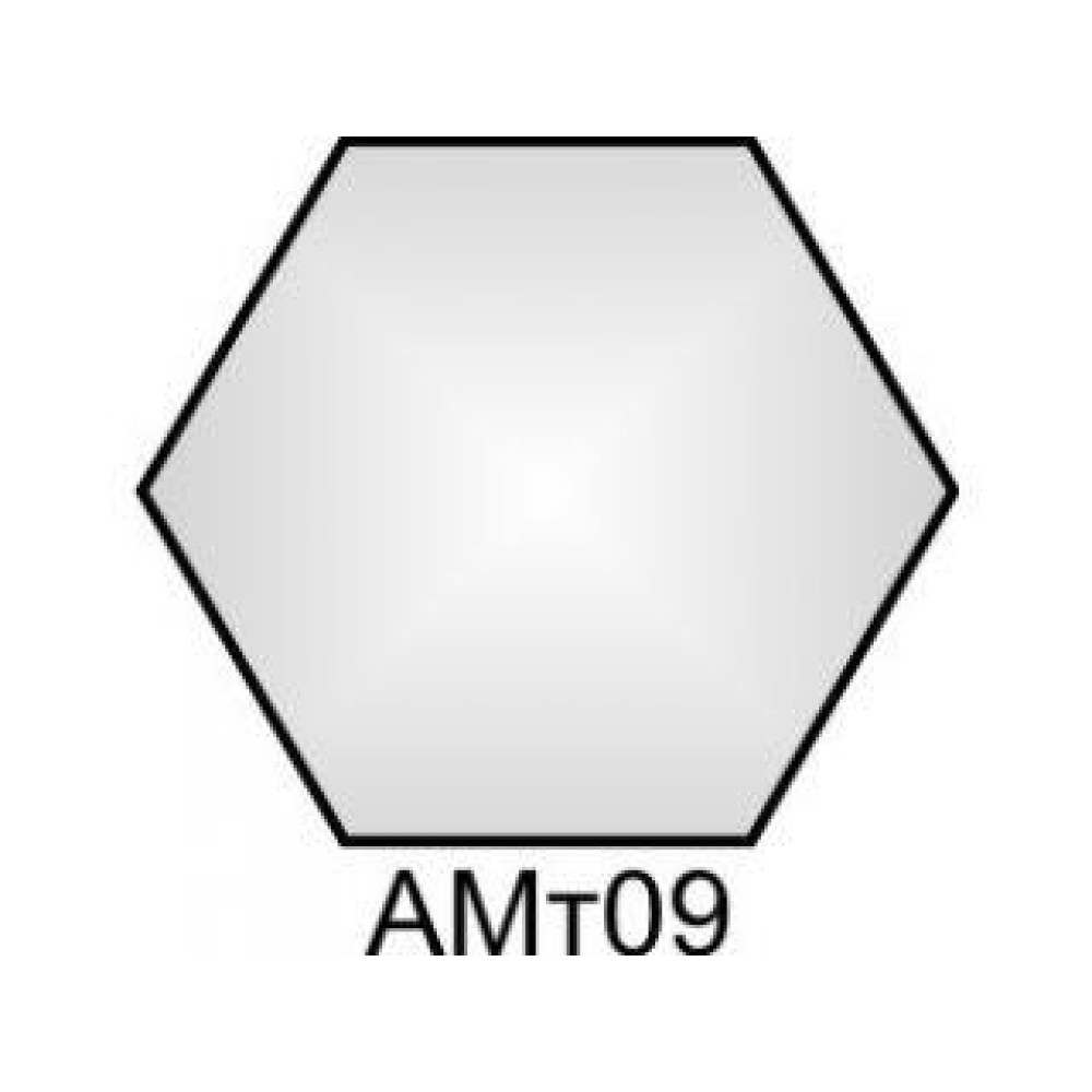 AMt09 Silver (matte) 18 ml HoMa