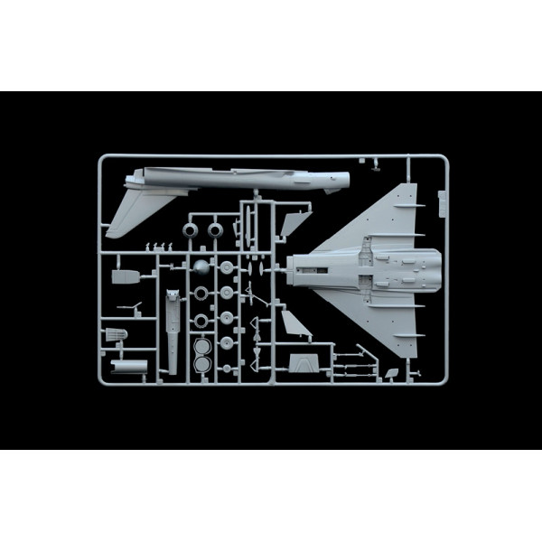 EF 2000 Typhoon Single Seater  1/72 Italeri  1355