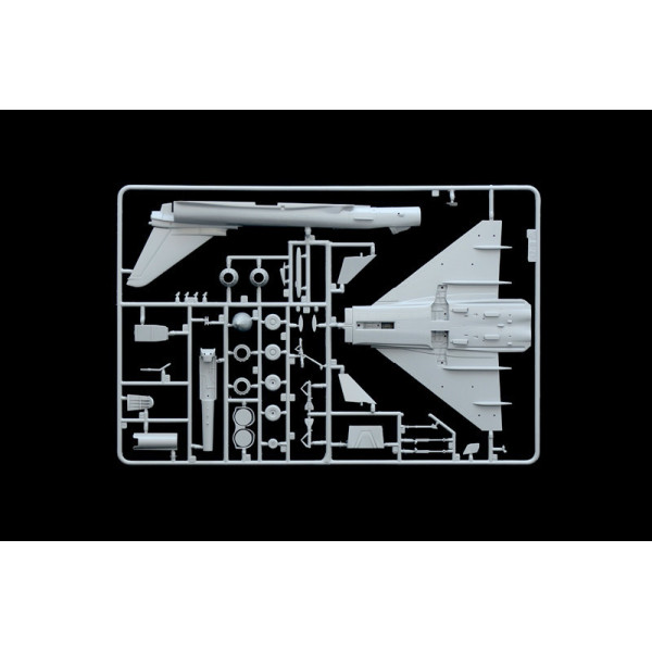 EF-2000 Typhoon In R.A.F. Service 1/72 Italeri  1457