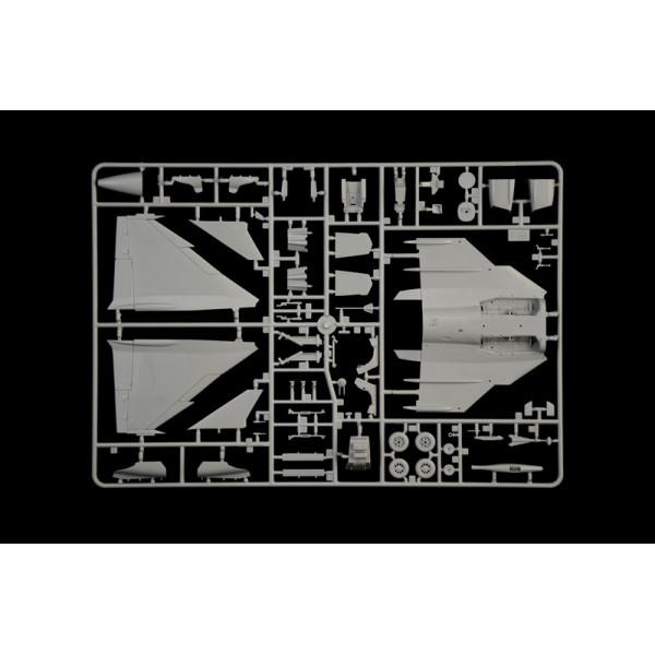 Літак  JAS-39D GRIPEN TWIN SEATER 1/48 Italeri  2664