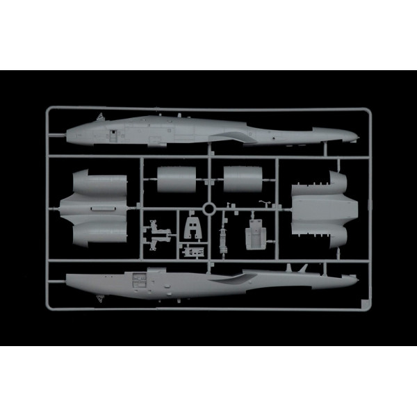 A - 10C ''Blacksnackes'' 1/48 Italeri  2725
