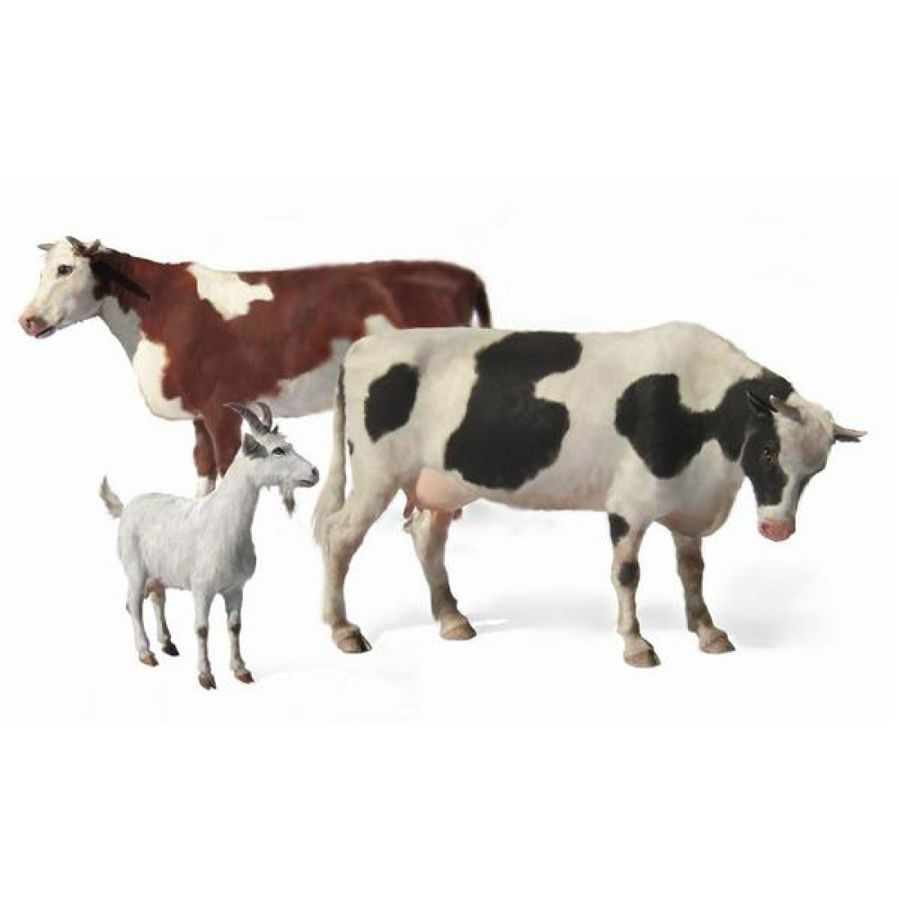 Domestic Animals 1/35 MasterBox 3566