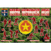 North Vietnamese Army (NVA) (52 figures, 13 poses)  1/72 Orion 72060
