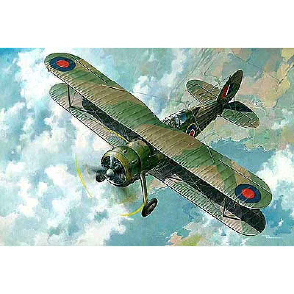 Gloster Gladiator reconnaissance-foreign service 1/48 Roden 438