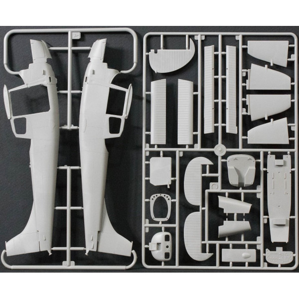 Cessna L-19/O-1 Bird Dog 1/32 Roden 619