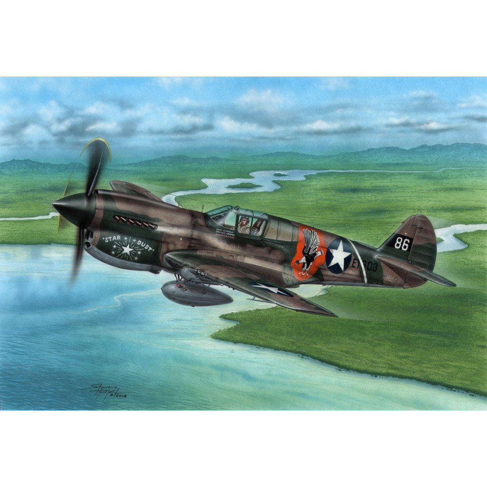 P-40E Warhawk 'Claws and Teeth' 1/72 Special Hobby 72338
