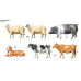 Domestic Animals Set No. 2 1/35 Tamiya 35385
