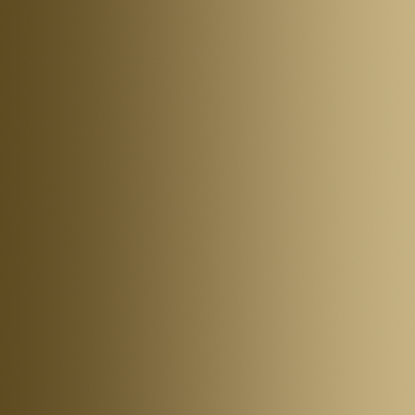 BAG OF BONES 72.450  Vallejo Xpress Color  (18 ml)