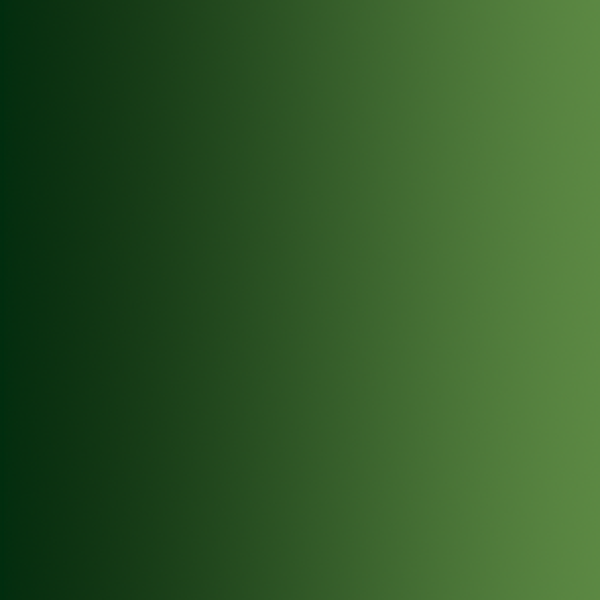 FOREST GREEN 72.465   Vallejo Xpress Color  (18 ml)