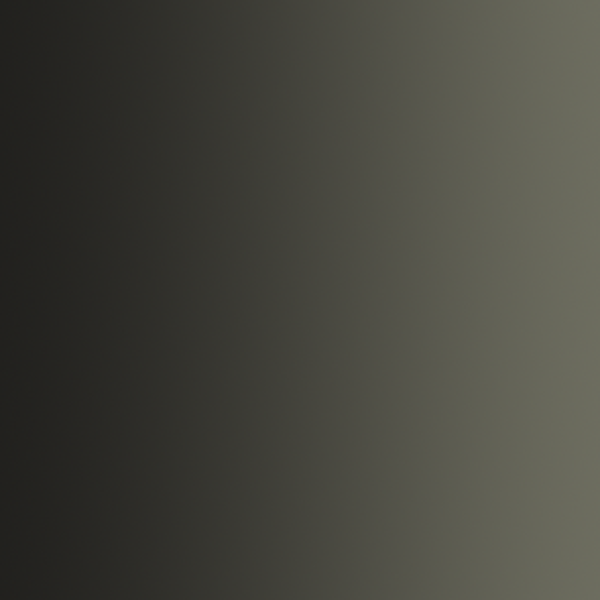 LANDSER GREY 72.469   Vallejo Xpress Color  (18 ml)