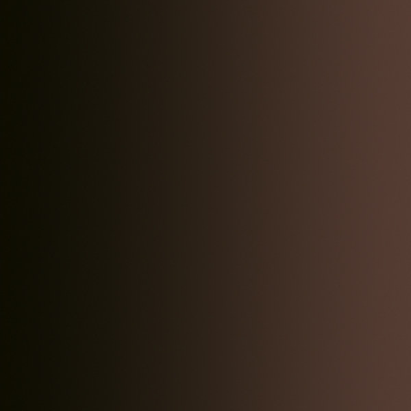 Фарба MUDDY GROUND 72.475  Vallejo Xpress Color (18 мл)