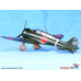 IJN Type 96 carrier-based fighter II A5M2b “Claude” (early) 1/48 Wingsy Kits D5-03