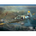 MESSERSCHMITT Bf 109 E-3 1/48 Wingsy Kits D5-08