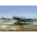MESSERSCHMITT Bf 109 E-1 and E-3 “Legion Condor” 2 in 1 1/48 Wingsy Kits D5-09